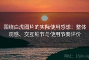 围绕白虎图片的实际使用感想：整体观感、交互细节与使用节奏评价