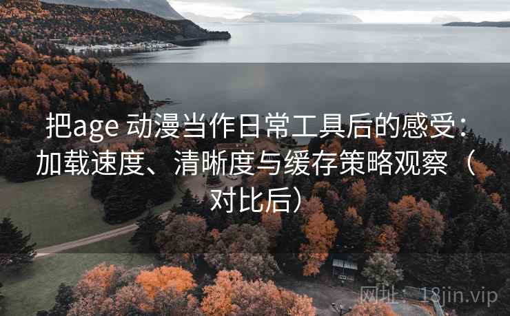 把age 动漫当作日常工具后的感受：加载速度、清晰度与缓存策略观察（对比后）