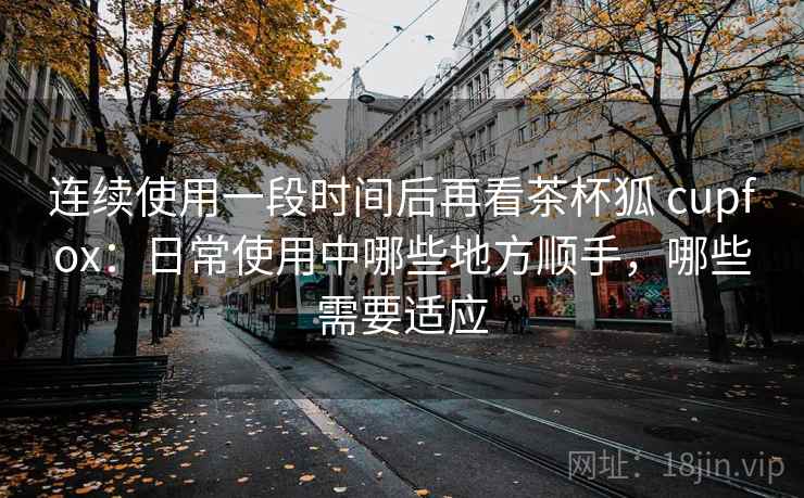 连续使用一段时间后再看茶杯狐 cupfox:日常使用中哪些地方顺手,哪些需要适应 连续使用一段时间后再看茶杯狐 cupfox:日常使用中哪些地方顺手,哪些需要适应